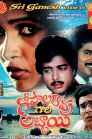 Gopala Rao Gari Abbayi