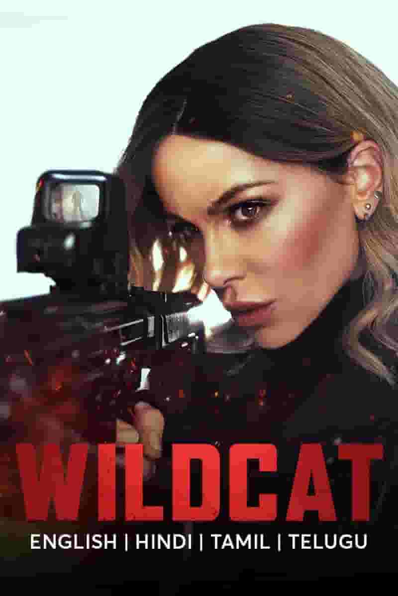 Wildcat