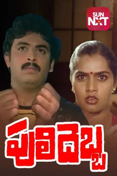 Puli Debba