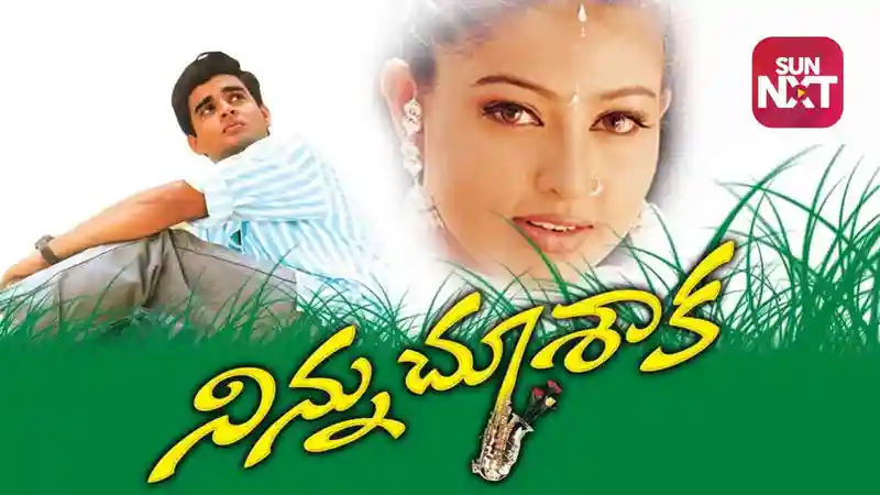 Ninnu Choosaaka (Telugu Dubbed)