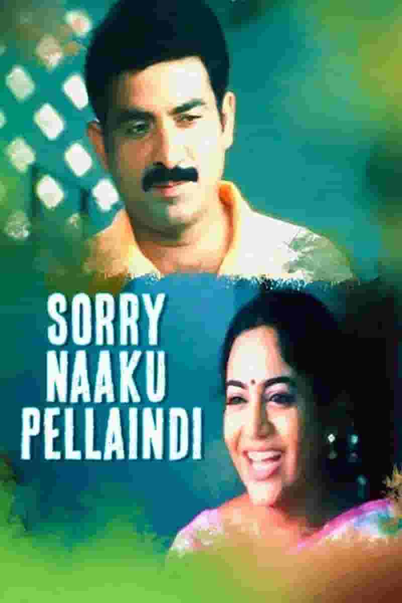 Sorry Naaku Pellaindi