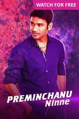 Preminchanu Ninne