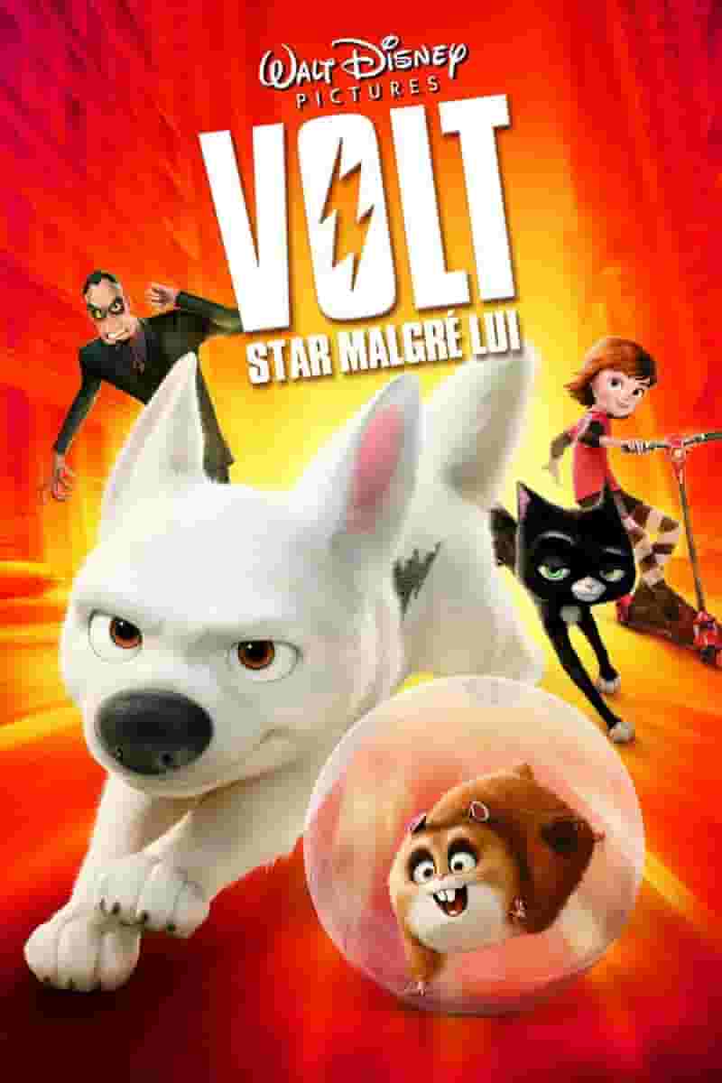 Bolt