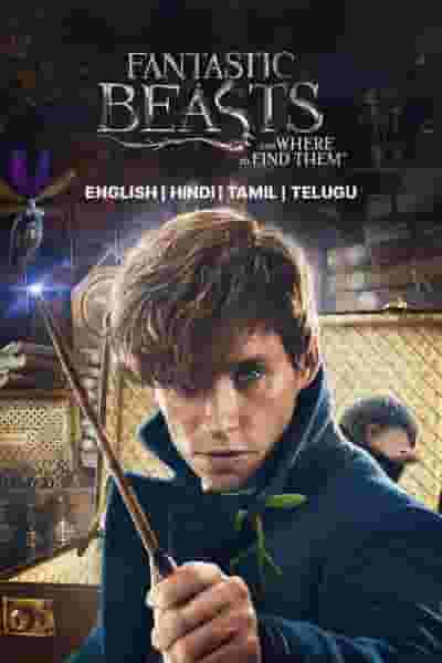 Fantastic Beasts And Where To Find Them