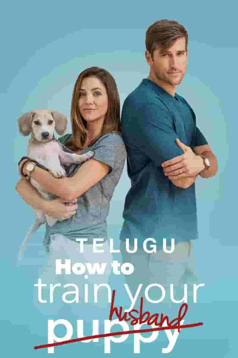 How To Train Your Husband