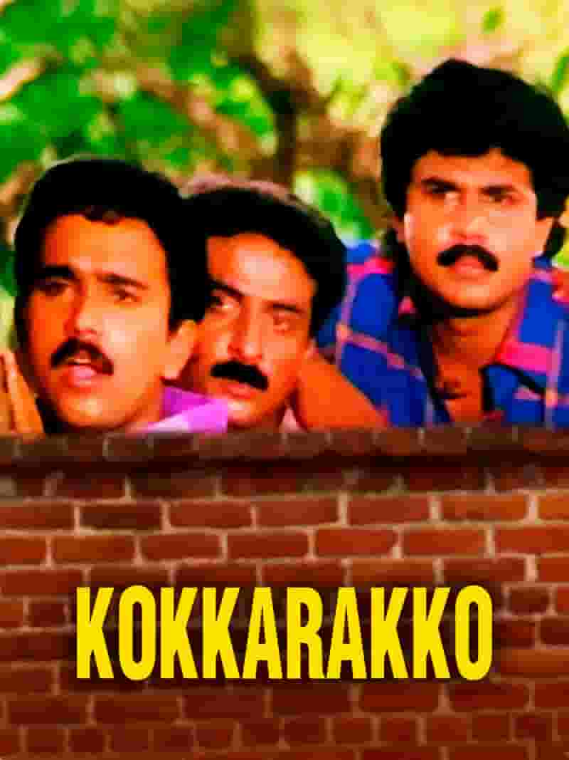 Kokkarakko
